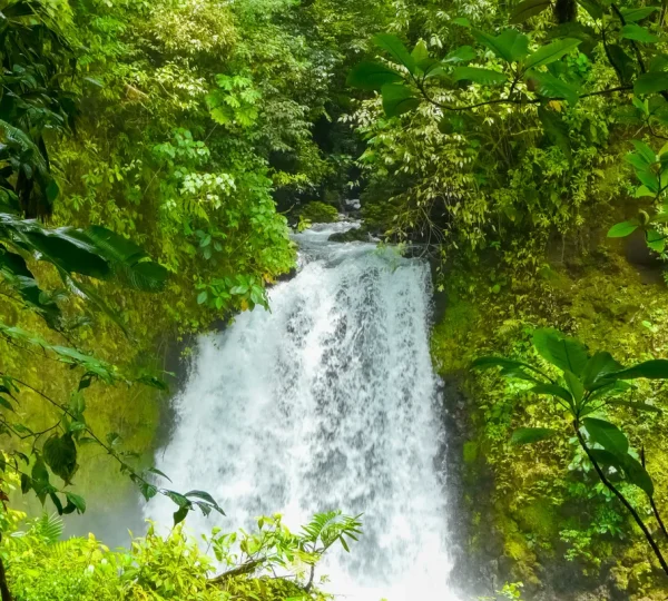 Coco Travel Adventure