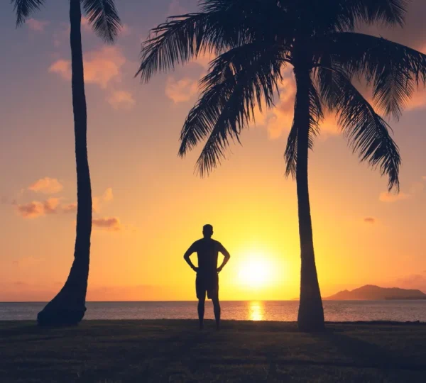 Coco Travel Adventure